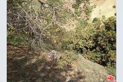 2861 Forest Park Dr, Los Angeles, CA 90032 - Photo 7