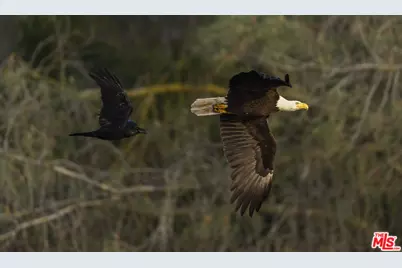 41924 Patrick Ave, Coarsegold, CA 93614 - Photo 15