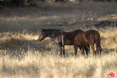 41924 Patrick Ave, Coarsegold, CA 93614 - Photo 19