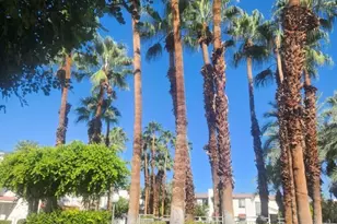 401 S El Cielo Rd, Palm Springs, CA 92262 - Photo 19