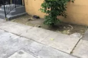 8504 S San Pedro St, Los Angeles, CA 90003 - Photo 11