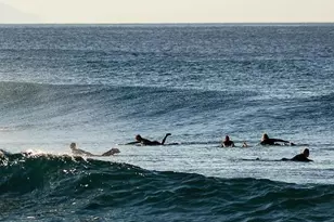 28867 Grayfox St, Malibu, CA 90265 - Photo 21