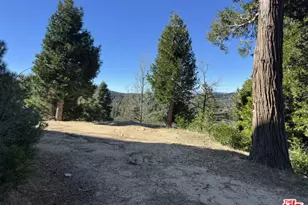 101 Mill Pond Rd, Lake Arrowhead, CA 92352 - Photo 1