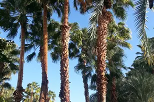 401 El Cielo Rd, Palm Springs, CA 92262 - Photo 13