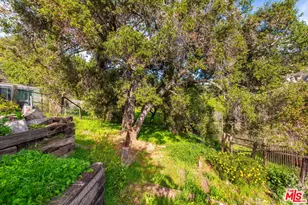 19511 Sunken Trail, Topanga, CA 90290 - Photo 43