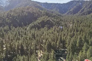1197 Oriole Rd, Wrightwood, CA 92397 - Photo 41