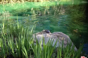 1115 Raintree Cir, Culver City, CA 90230 - Photo 7