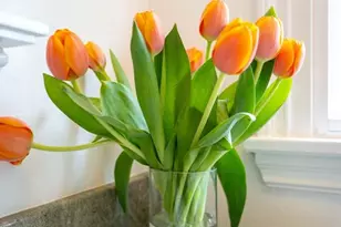 535 N Poinsettia Pl, Los Angeles, CA 90036 - Photo 31