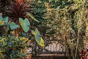 3605 Cerritos Ave, Long Beach, CA 90807 - Photo 23