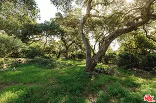 1175 E Mountain Dr, Santa Barbara, CA 93108 - Photo 23