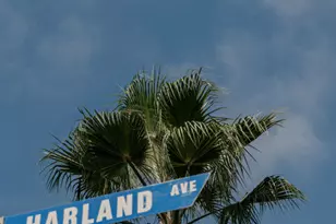 702 N Doheny Dr, West Hollywood, CA 90069 - Photo 21