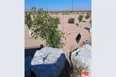 9025 Camp Rock Rd, Lucerne Valley, CA 92356 - Photo 41