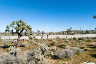 5065 Elata Ave, Yucca Valley, CA 92284 - Photo 63