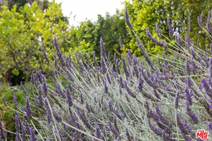 28929 Wight Rd, Malibu, CA 90265 - Photo 21