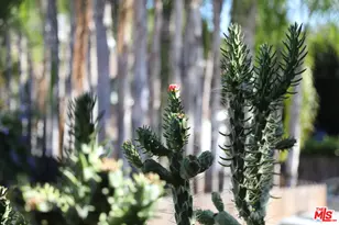 5055 Hub St, Los Angeles, CA 90042 - Photo 21