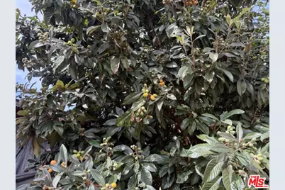 3284 Cherokee Ave, South Gate, CA 90280 - Photo 55