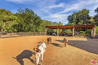 3099 Mandeville Canyon Rd, Los Angeles, CA 90049 - Photo 51