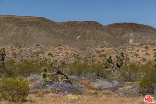 55626 Pipes Canyon Rd, Yucca Valley, CA 92284 - Photo 23
