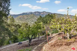 11400 Topa Vista Rd, Santa Paula, CA 93060 - Photo 39