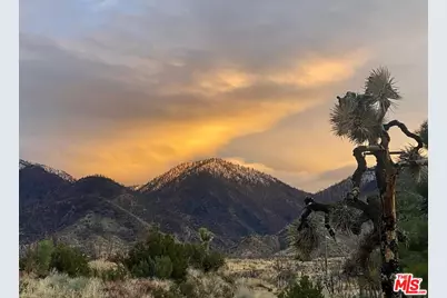 29243 Piani Rd, Pearblossom, CA 93553 - Photo 57