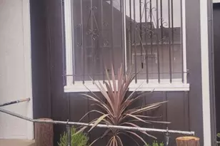 13063 Louvre St, Pacoima, CA 91331 - Photo 3