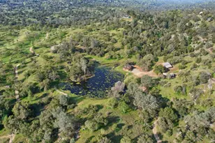 41924 Patrick Ave #Tpn#4337/1, Coarsegold, CA 93614 - Photo 27