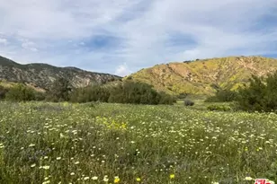 29433 Hwy 33 Hwy, Maricopa, CA 93252 - Photo 47