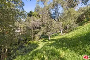 357 Crown Dr, Los Angeles, CA 90049 - Photo 19