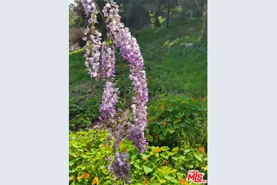 919 Rivas Canyon Rd, Pacific Palisades, CA 90272 - Photo 15