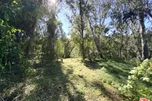 3100 Santa Maria Rd, Topanga, CA 90290 - Photo 61