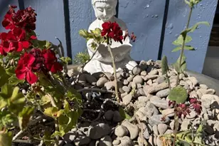 9827 Yoakum Dr, Beverly Hills, CA 90210 - Photo 33