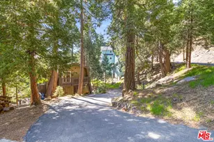 24310 Altdorf Dr, Crestline, CA 92325 - Photo 41