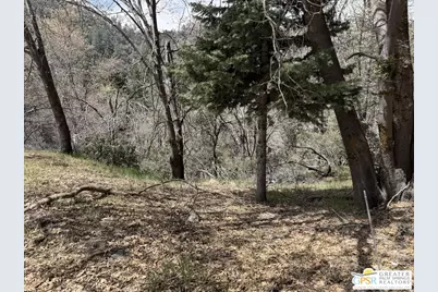 6032 Tripp Ln, Angeles Oaks, CA 92305 - Photo 5