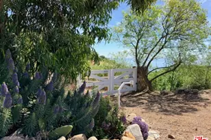 3800 Latigo Canyon Rd, Malibu, CA 90265 - Photo 65