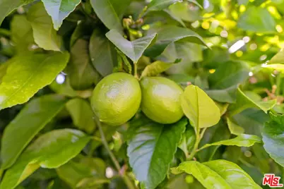 23777 Mulholland Hwy #190, Calabasas, CA 91302 - Photo 19