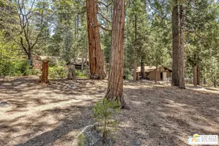 25100 Indian Rock Rd, Idyllwild, CA 92549 - Photo 59