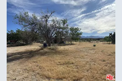 32049 213th St, Llano, CA 93544 - Photo 3