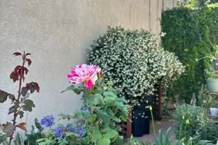 3736 City Terrace Dr, Los Angeles, CA 90063 - Photo 53