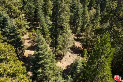 629 Lodge Ln, Twin Peaks, CA 92391 - Photo 27