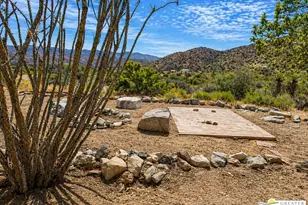 49760 Big Morongo Canyon Rd, Morongo Valley, CA 92256 - Photo 41