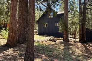 25470 Scenic Dr, Idyllwild, CA 92549 - Photo 27