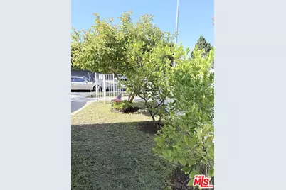 8708 Cadillac Ave, Los Angeles, CA 90034 - Photo 17