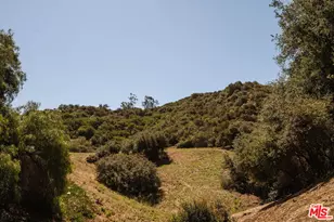 20616 Callon Dr, Topanga, CA 90290 - Photo 37
