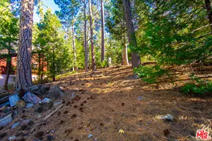 25270 Nestwa Trail, Idyllwild, CA 92549 - Photo 9