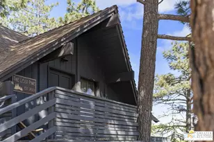 24830 Marion Ridge Rd, Idyllwild, CA 92549 - Photo 37