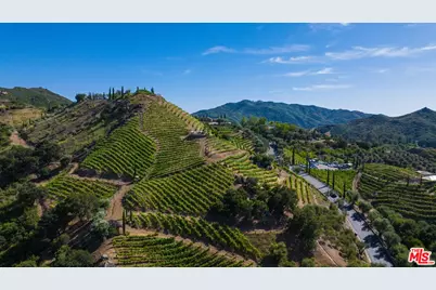 31341 Mulholland Hwy, Malibu, CA 90265 - Photo 7