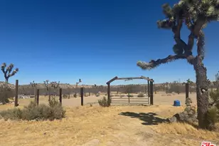 55626 Pipes Canyon Rd, Yucca Valley, CA 92284 - Photo 63