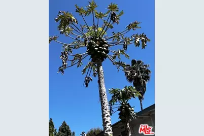 5633 La Mirada Ave, Los Angeles, CA 90038 - Photo 33
