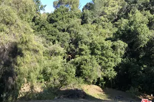 2521 Topanga Skyline Dr, Topanga, CA 90290 - Photo 35