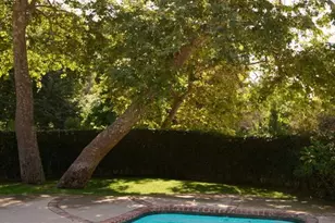 603 Hightree Rd, Los Angeles, CA 90402 - Photo 21